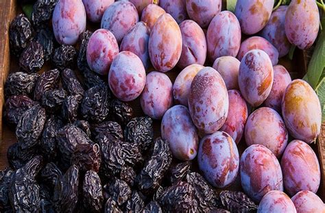 ano ang kahulugan ng prunes .